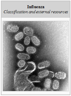 Image of 3D Influenza virus